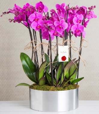 11 dall mor orkide metal vazoda Ankara Dikmen Osmantemiz online iek gnderme sipari 